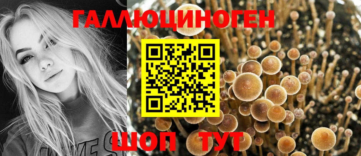 Псилоцибиновые грибы GOLDEN TEACHER  Псилоцибиновые грибы мухоморы  Вход с VPN  Спасск-Дальний 